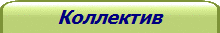 Коллектив